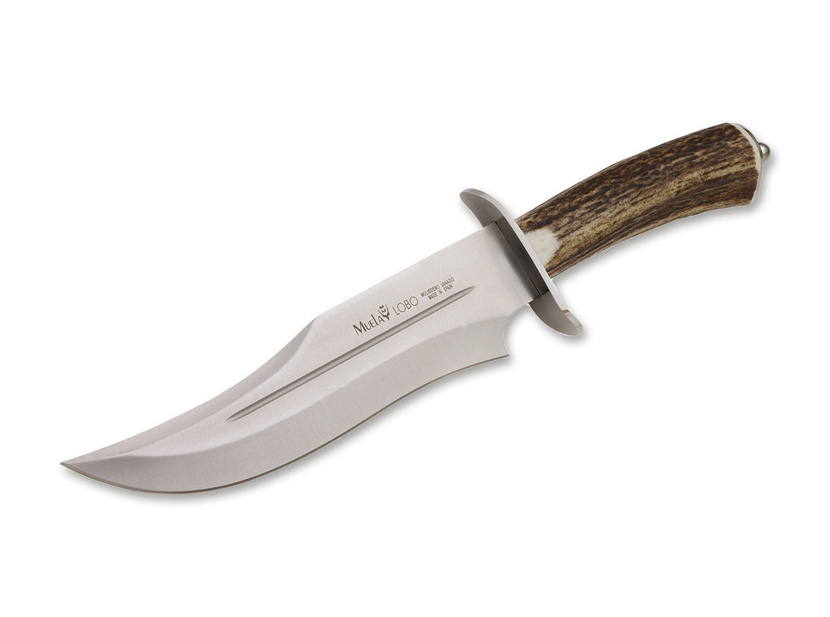 Muela Lobo 23 A Hunting Knife