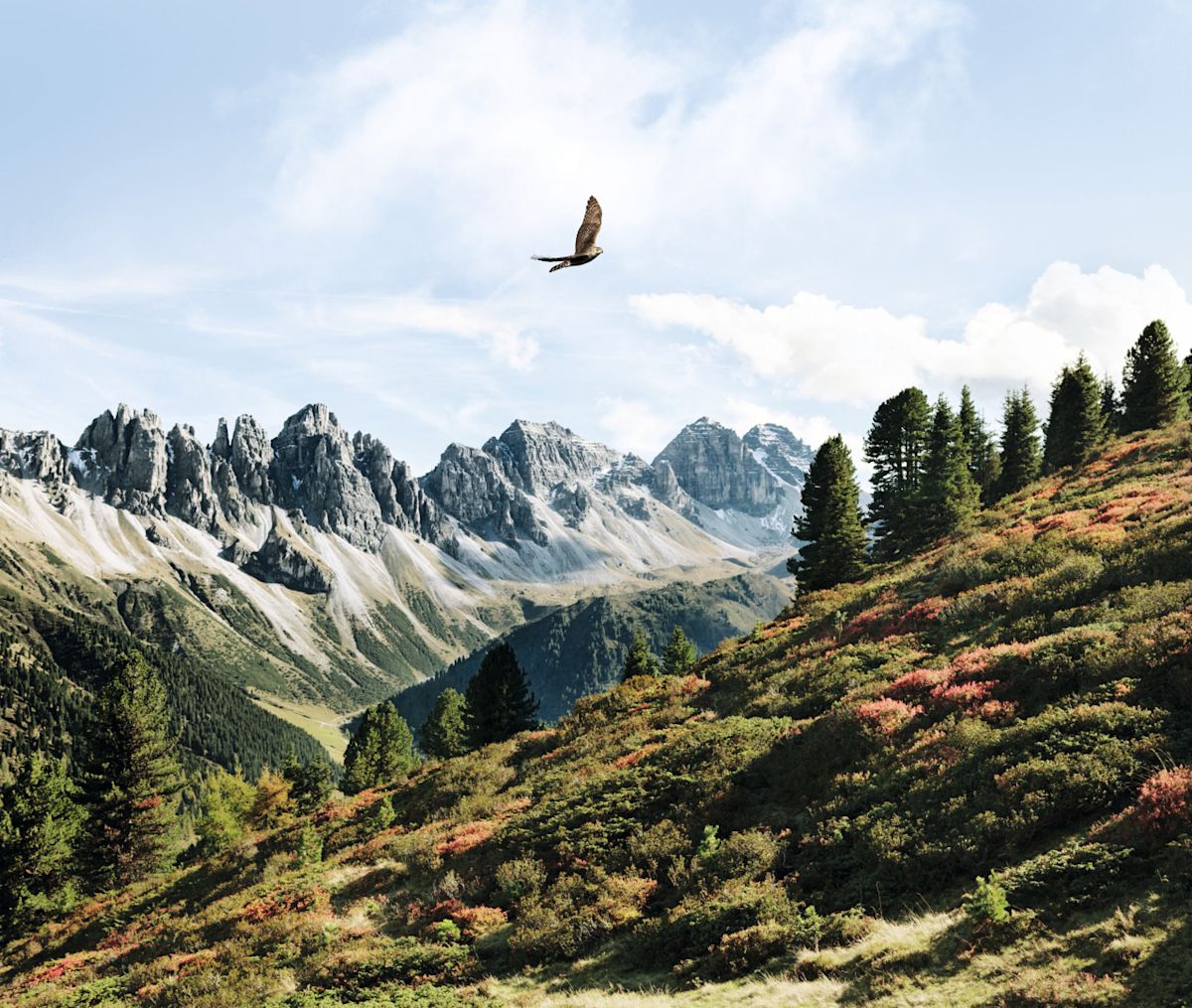 Alpine mountain landscape banner